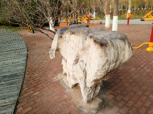 IMG_20191201_091219.jpg