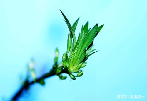 9345d688d43f87940c11833edae32cfc1ad53a30.jpeg
