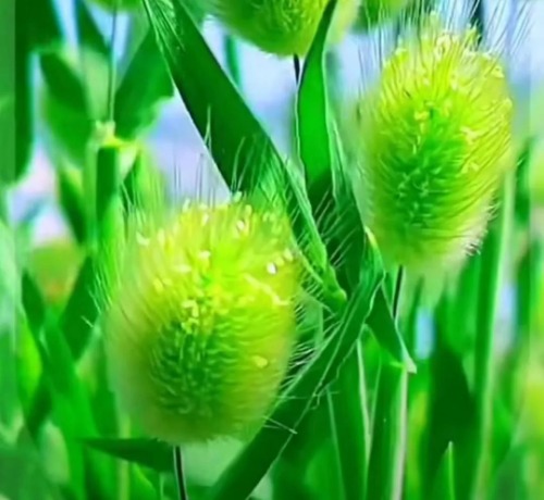 mmexport3d911c75cc9e022b89c49ad74be88bb3_1677332946362.jpeg