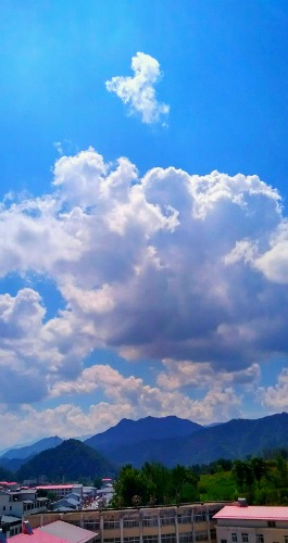 downloadfile-1680269490077.jpeg